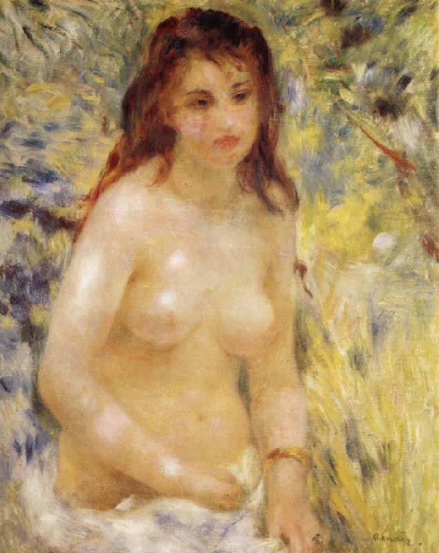 Pierre-Auguste Renoir The female nude under the sun china oil painting image